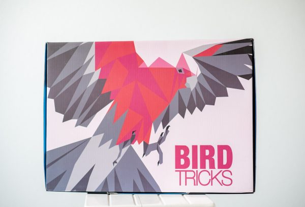 BirdTricks Sampler Box For Sale