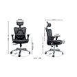 [PRE-ORDER] ANEW Standard Ergonomic Chair Cheap