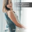 ANEW Ergonomic Back Cushion Online now