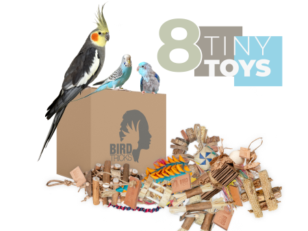 Tiny Toy Box (Bundle of 8) Sale