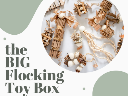 The BIG Flocking Toy Box Fashion