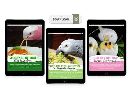 Natural Feeding System (Digital Download) Fashion