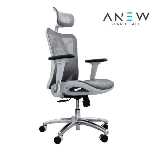 [PRE-ORDER] ANEW Standard Ergonomic Chair Cheap