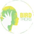 BirdTricks Training Course | Advanced Level For Cheap