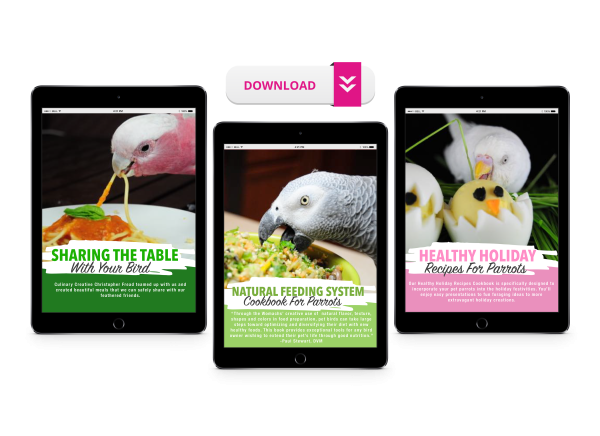 Natural Feeding System (Digital Download) Fashion