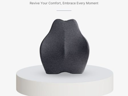 ANEW Ergonomic Back Cushion Online now