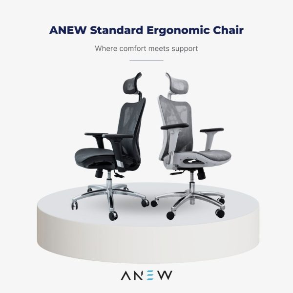 [PRE-ORDER] ANEW Standard Ergonomic Chair Cheap