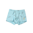 Baa Baa Sheepz Boys Boxer C009-M 3 Pcs - 6T Hot on Sale