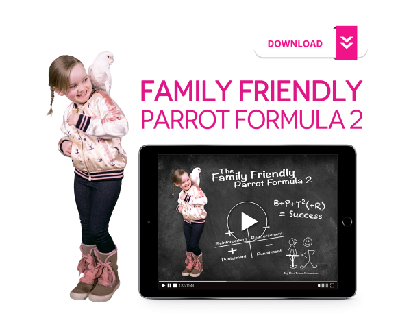 Family Friendly Parrot Formula 2 Supply