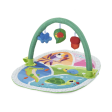 Chicco Toy New 3in1 Activity Gym Online Hot Sale