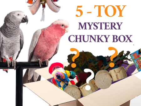 Chunky Toy Box (Bundle of 5) Online Hot Sale