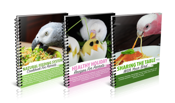 Natural Feeding System (In Print) Cheap