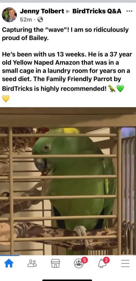 Family Friendly Parrot Formula Online Sale