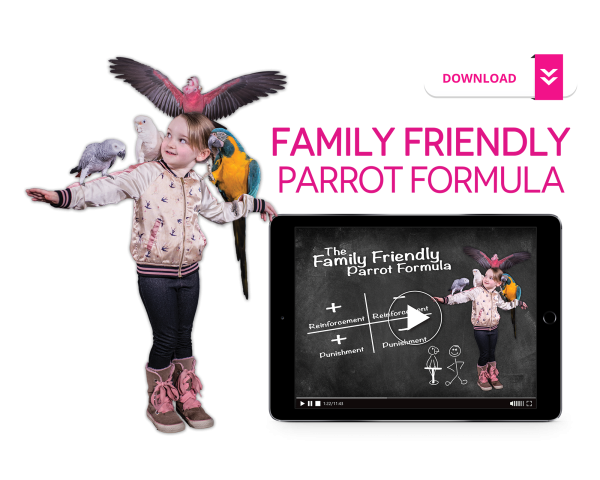 Family Friendly Parrot Formula Online Sale