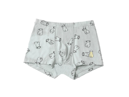 Baa Baa Sheepz Boys Boxer C009-M 3 Pcs - 6T Hot on Sale