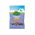 Raffertys Garden Sticks Blueberry 15g (8m+) Discount