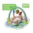 Chicco Toy New 3in1 Activity Gym Online Hot Sale