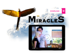 One Day Miracles Sale