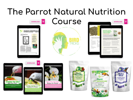 The Parrot Natural Nutrition Course Fashion