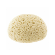 Chicco Safe Hygiene Extra Absorbent Sponge (0m+) Online Sale