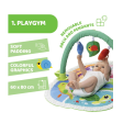 Chicco Toy New 3in1 Activity Gym Online Hot Sale