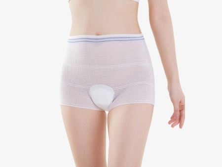 Shapee Postpartum Mesh Panties (5pcs) on Sale