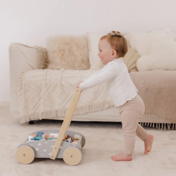 Bubble Wooden Baby Push Cart & Walker with 45 Building Blocks (12m+) Fashion